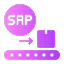 SAP Migration Services 